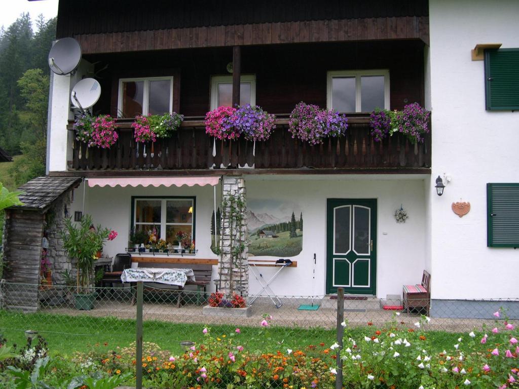 Stricker * Obertraun