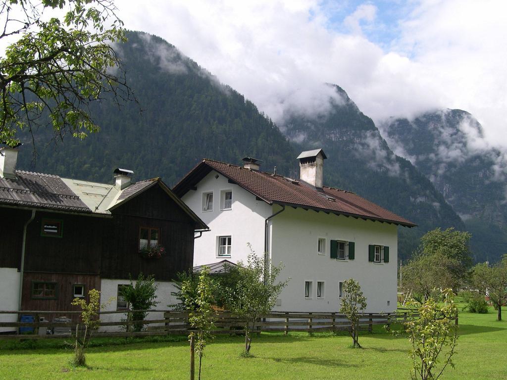 Stricker Obertraun